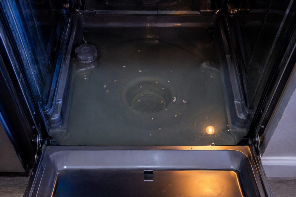 The floor of a dishwasher tub with two inches of gray water standing in it, the round filter well submerged and a few grains of food circling above it.